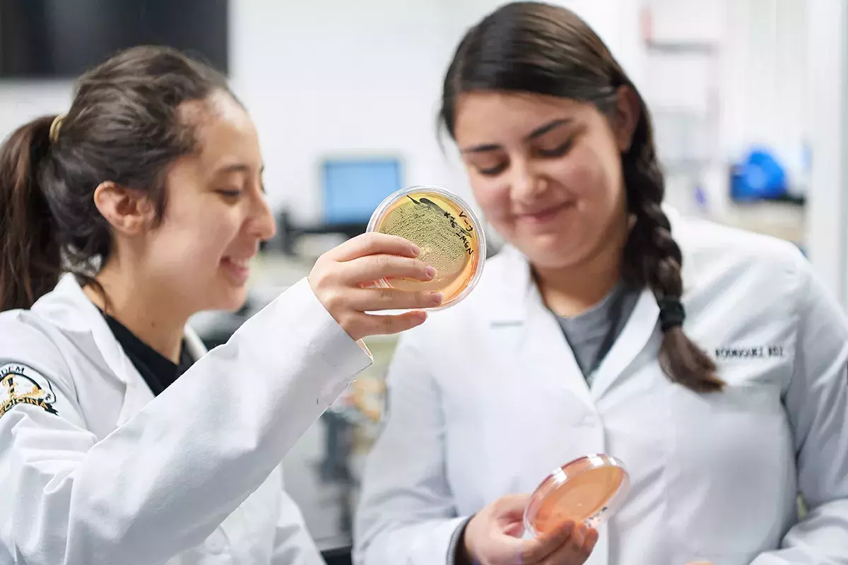 Alumnas analizando cultivo de células.