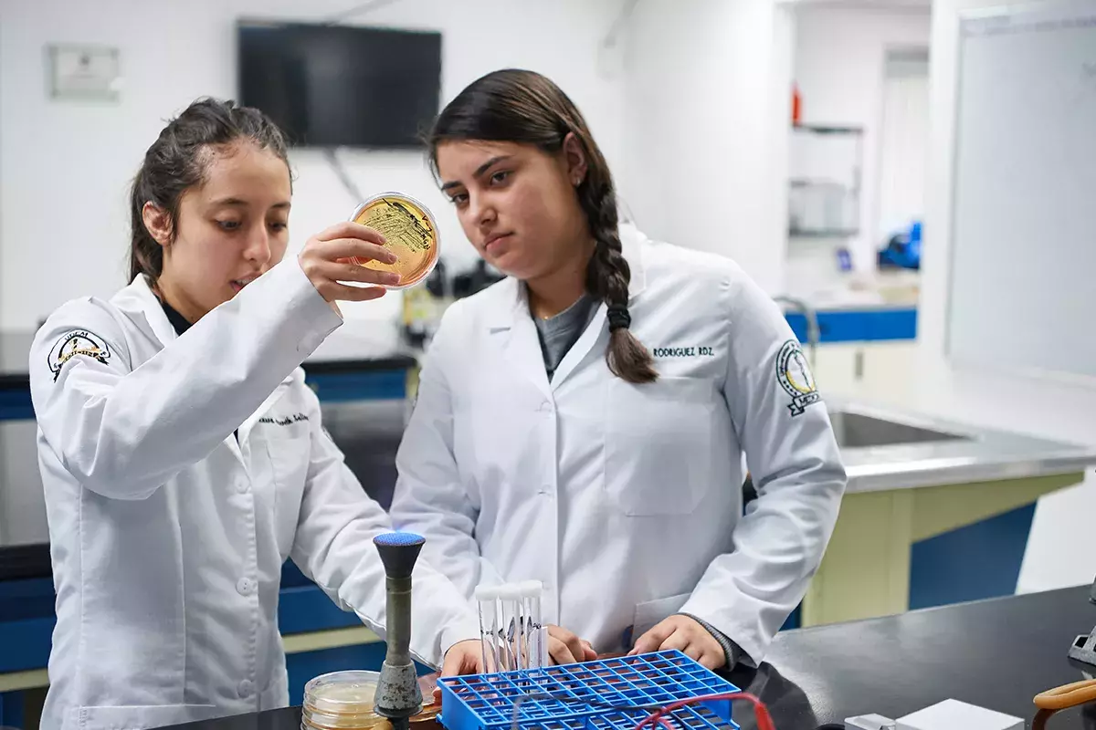 Alumnas analizando cultivo de células.