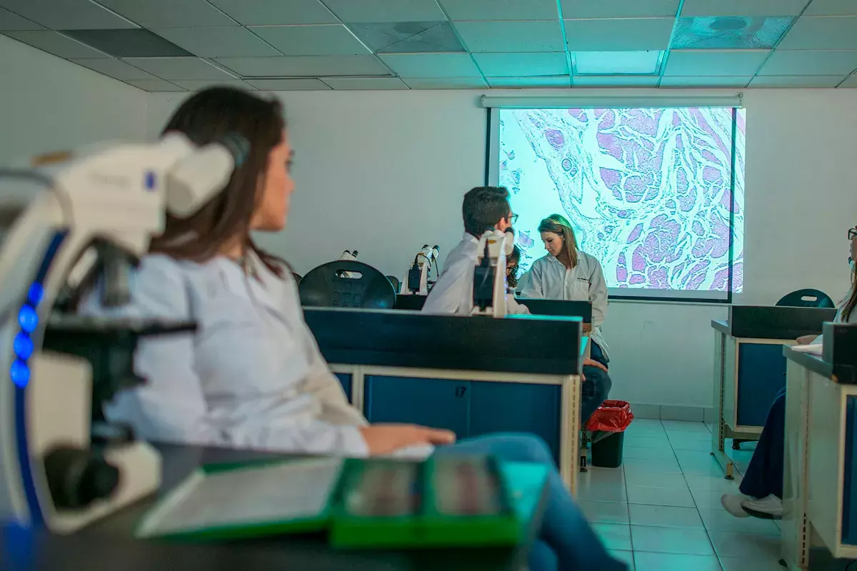 Alumnos viendo imagen de células.