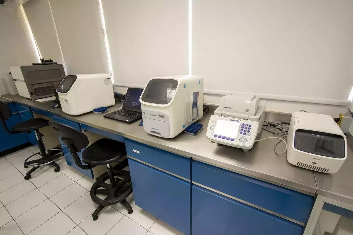 Archivo UDEM