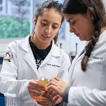 Alumnas analizando cultivos de células.