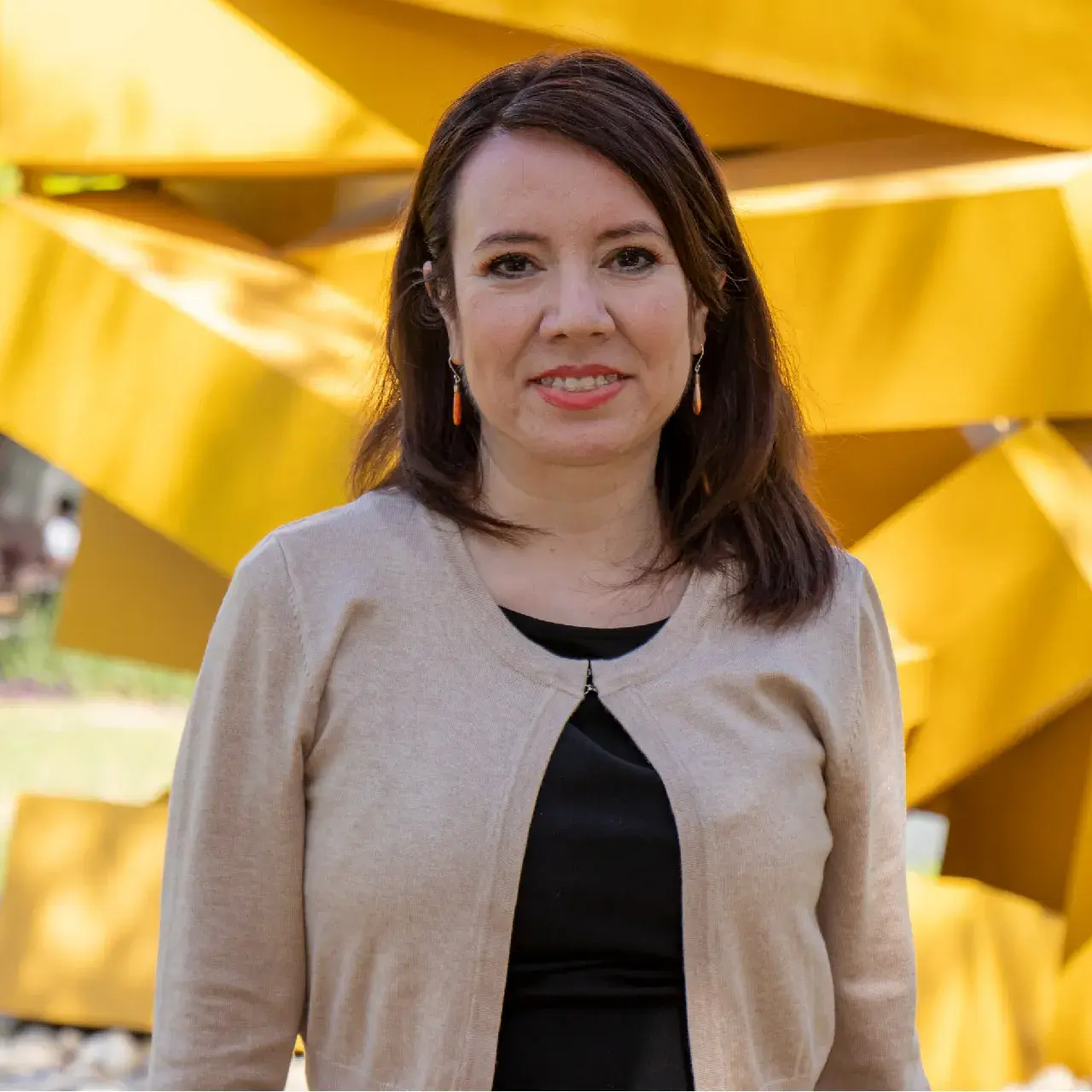 Directora de Posgrados en Derecho, Angelina Valenzuela