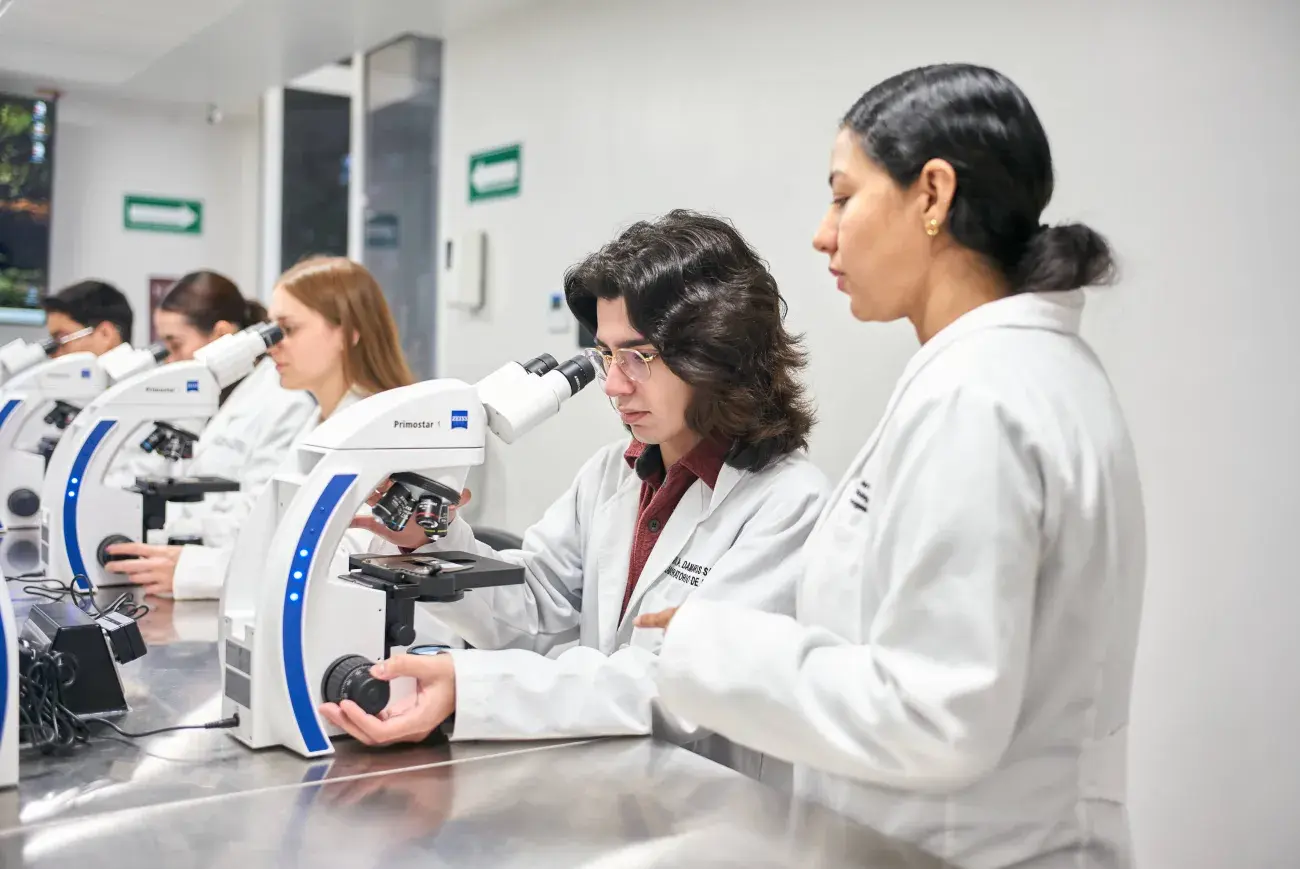 Alumno microscopio
