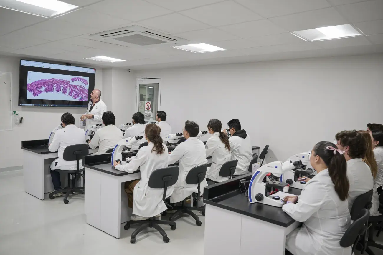 Alumnos viendo imagen de células.